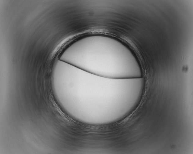 X0000116061115200911201154