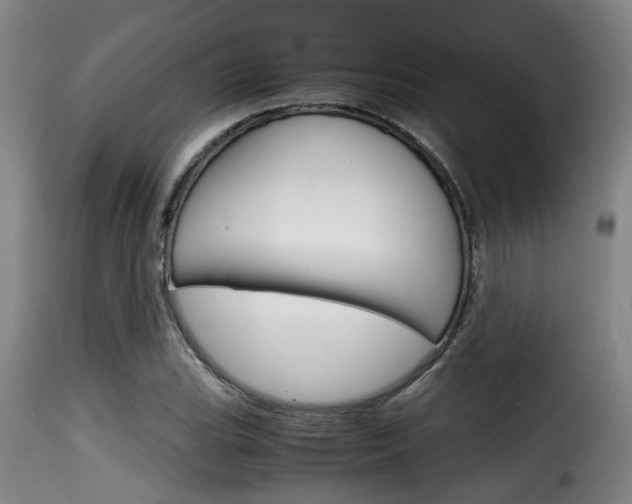 X0000116061119200911201154