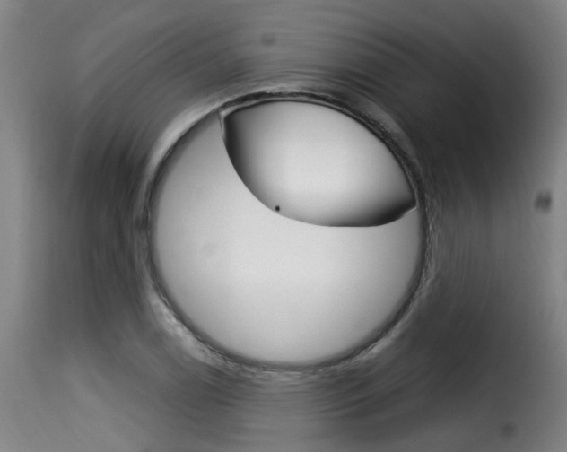 X0000116061122200911201154
