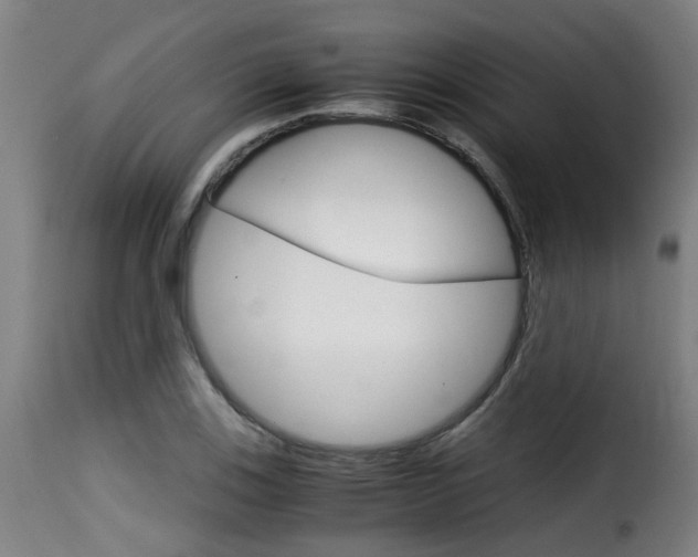 X0000116061123200911201154