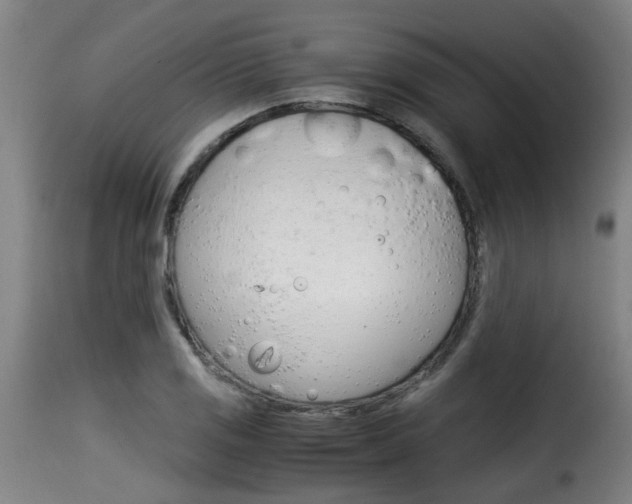 X0000116061125200911201154