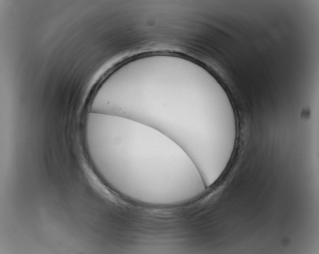 X0000116061126200911201154