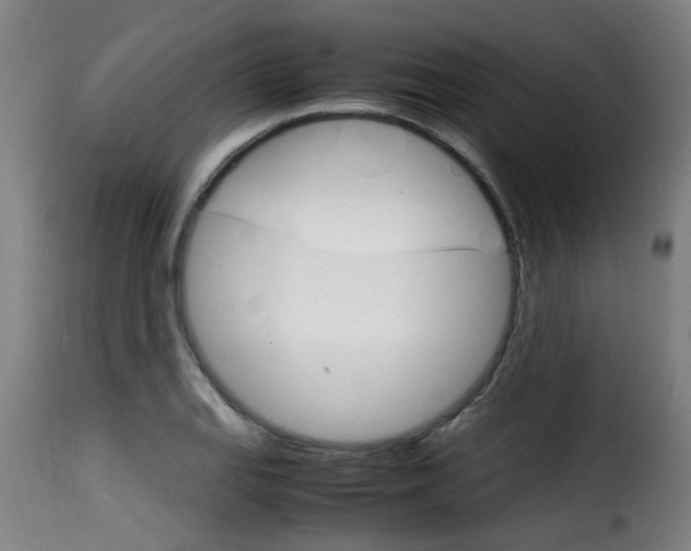 X0000116061127200911201154