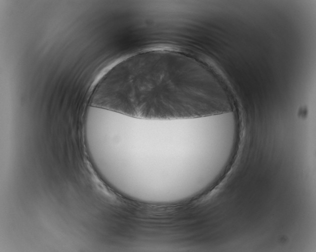 X0000116061129200911201154