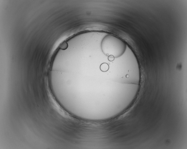 X0000116061130200911201154
