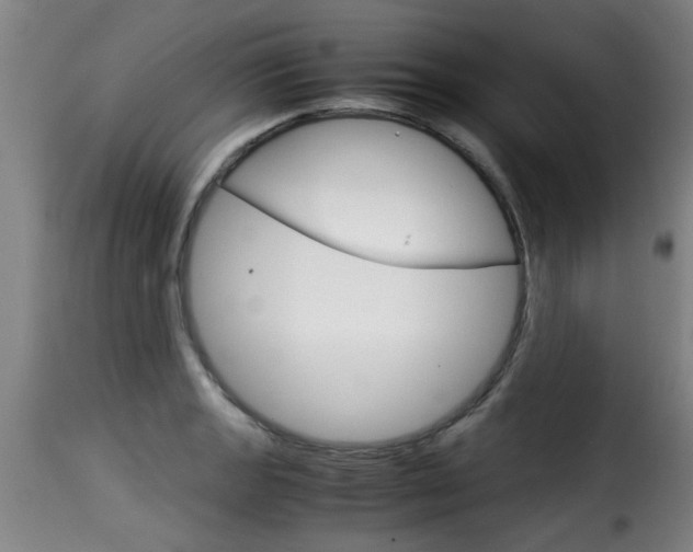 X0000116061133200911201154