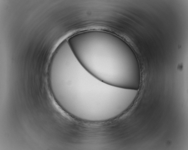 X0000116061134200911201154