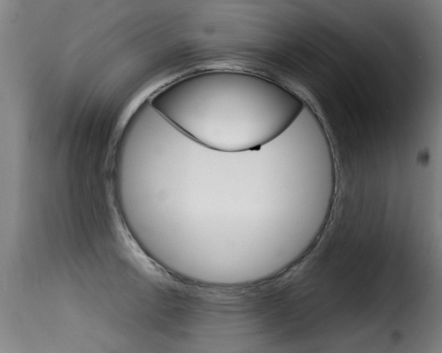 X0000116061138200911201155