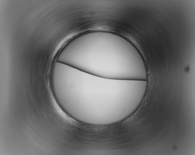X0000116061139200911201155