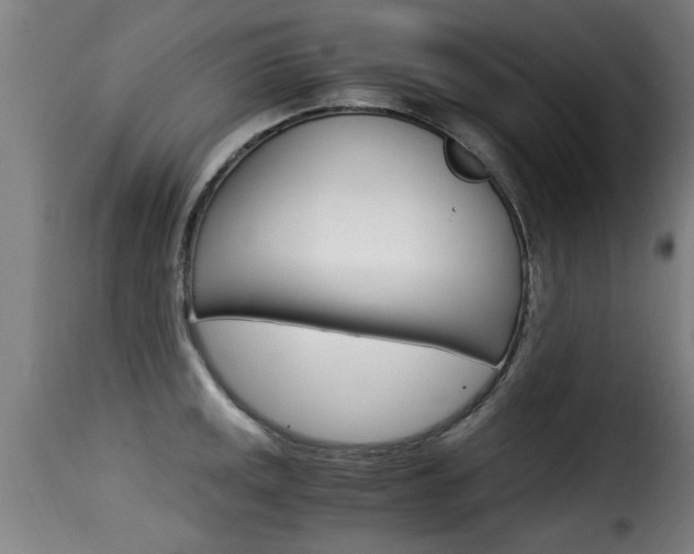 X0000116061141200911201155