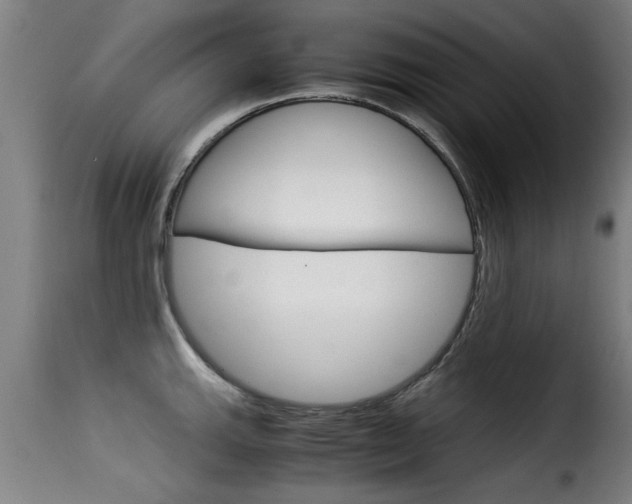 X0000116061143200911201155
