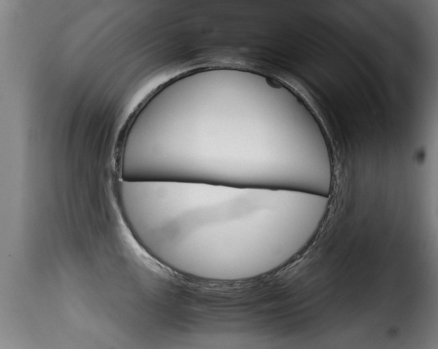 X0000116061147200911201155
