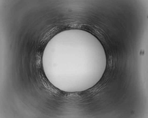 X0000116061154200911201154