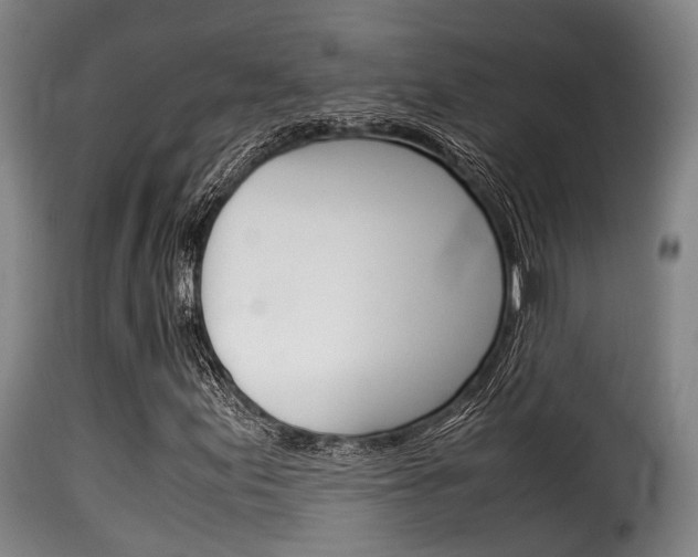 X0000116061155200911201154