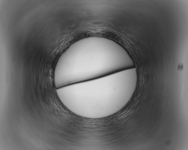 X0000116061156200911201154