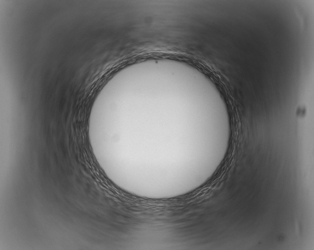 X0000116061157200911201154