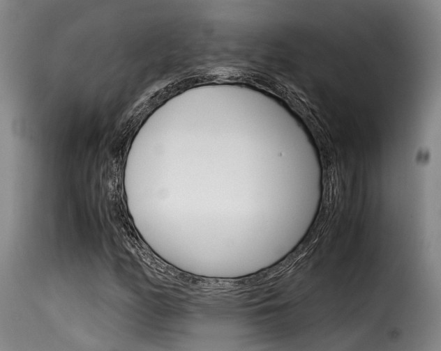 X0000116061158200911201154