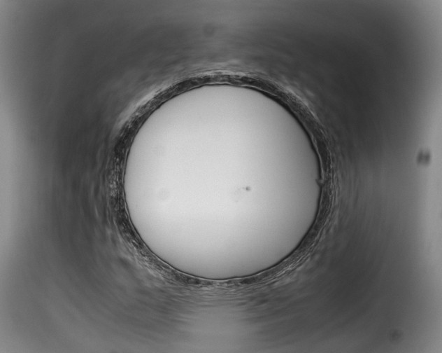 X0000116061159200911201154