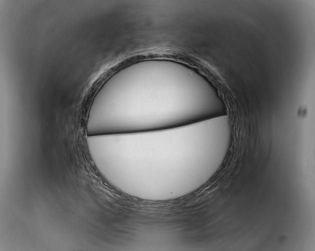 X0000116061160200911201154