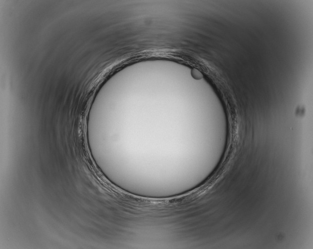 X0000116061161200911201154