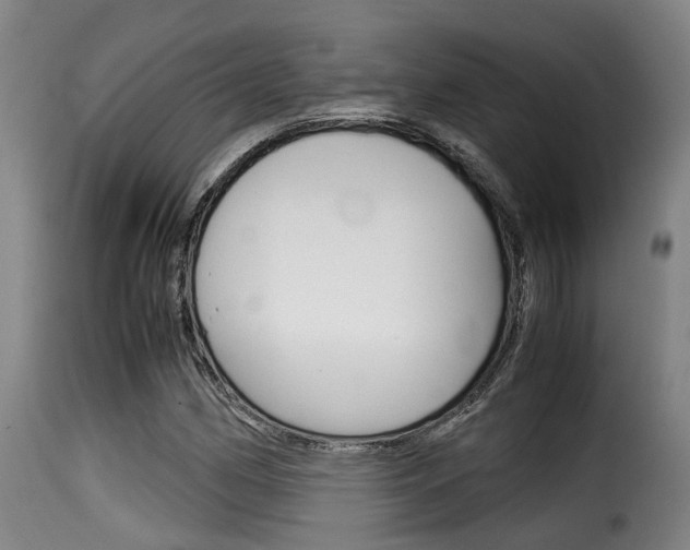X0000116061162200911201154