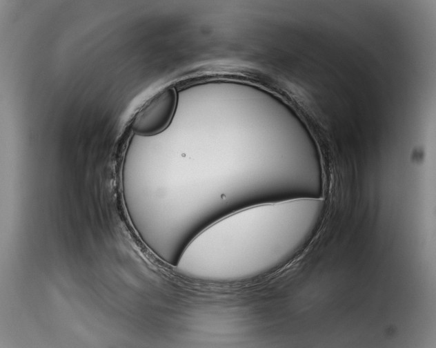 X0000116061164200911201154