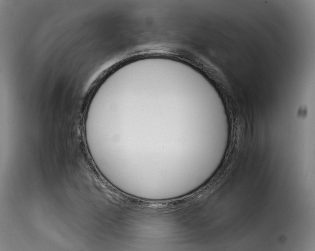 X0000116061166200911201154