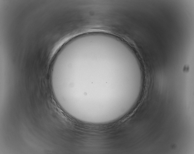 X0000116061167200911201154