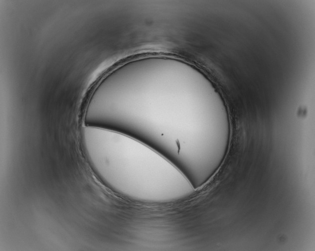 X0000116061168200911201154
