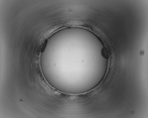 X0000116061169200911201154