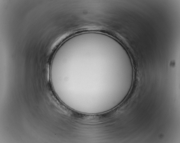 X0000116061171200911201154