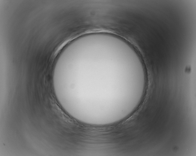 X0000116061173200911201154