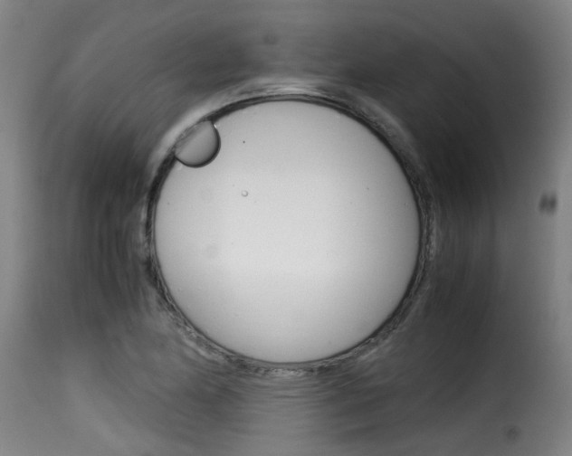 X0000116061174200911201154