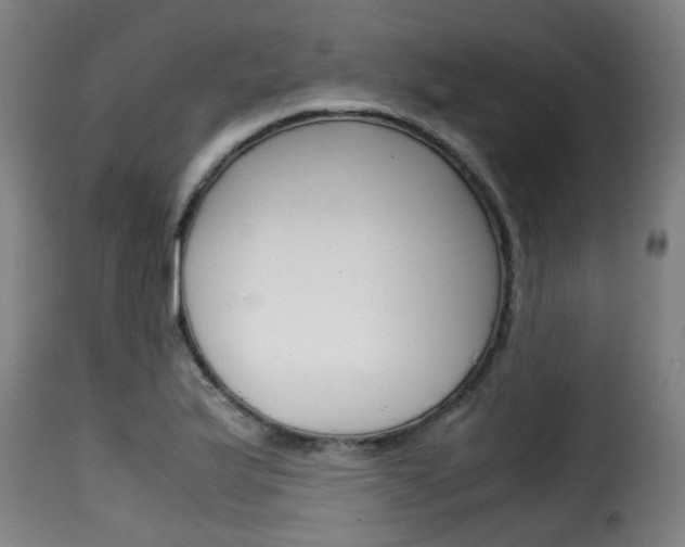 X0000116061175200911201154