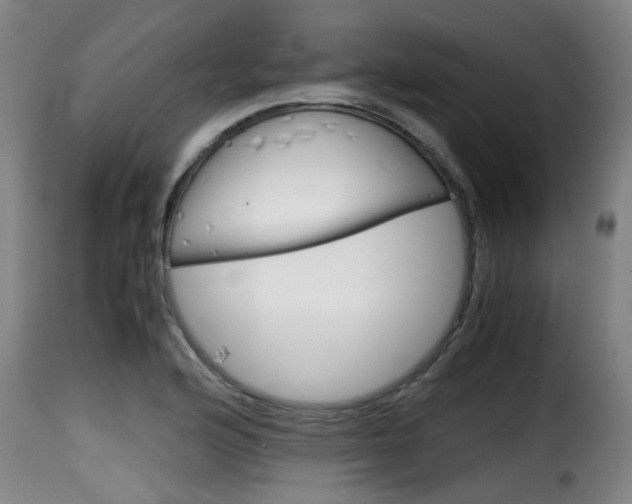 X0000116061176200911201154