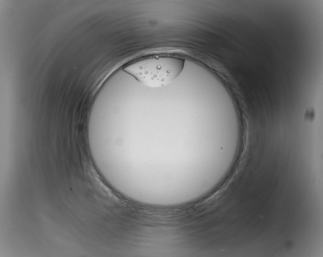 X0000116061177200911201154