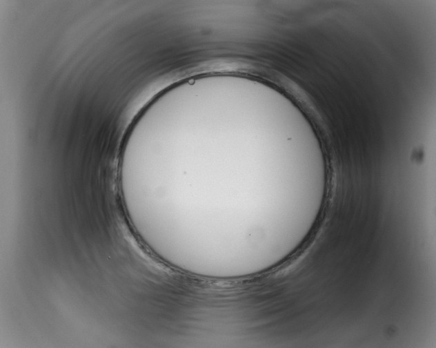X0000116061178200911201154