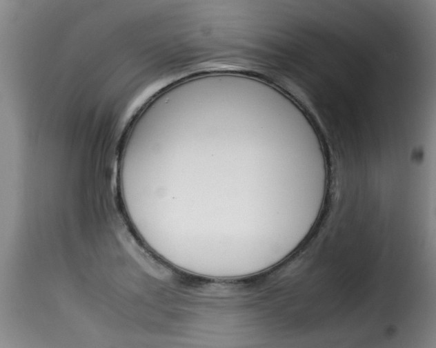 X0000116061179200911201154