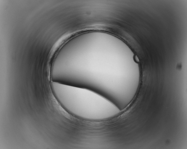 X0000116061180200911201154