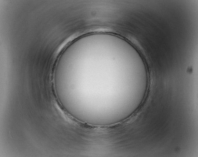 X0000116061181200911201154