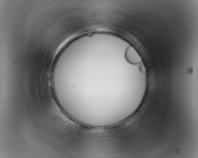 X0000116061182200911201154