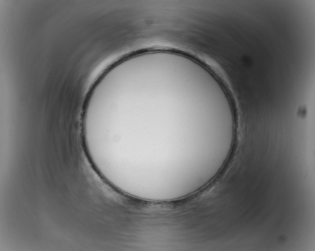 X0000116061183200911201154