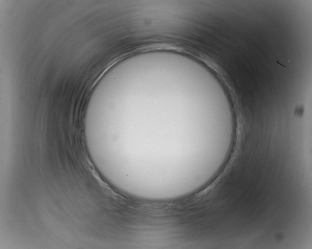 X0000116061185200911201154