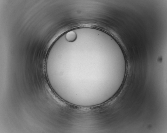 X0000116061186200911201154