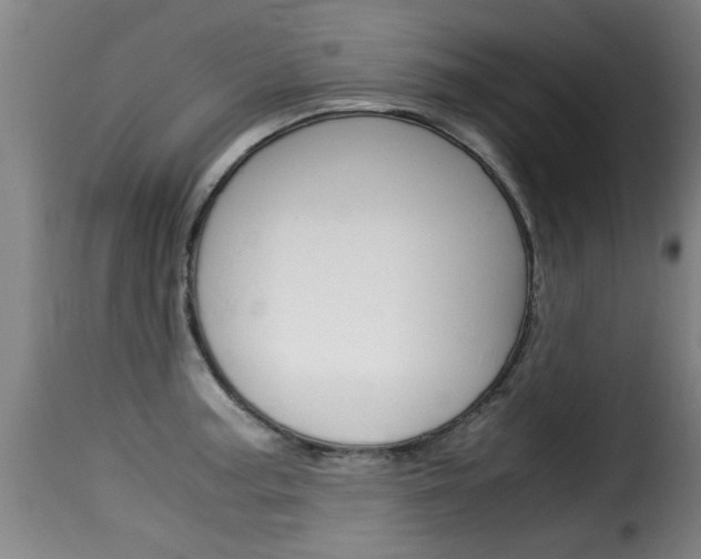 X0000116061187200911201154