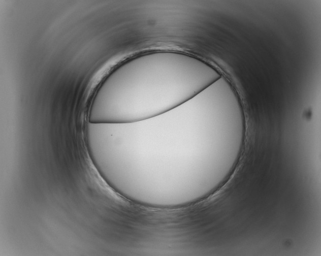 X0000116061188200911201154