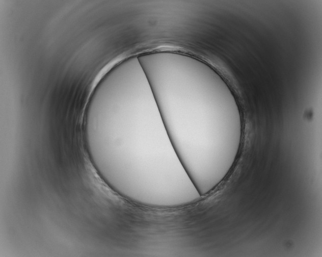 X0000116061190200911201154