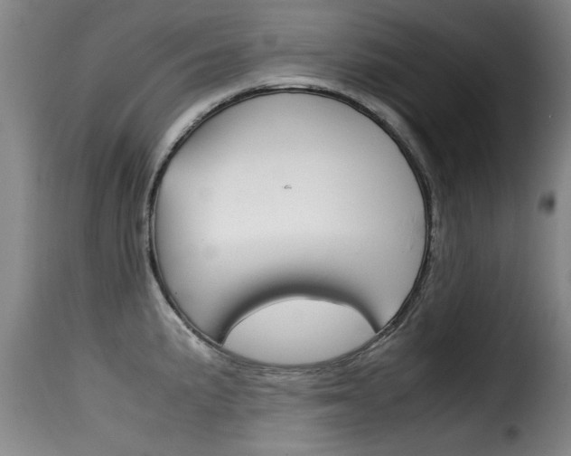 X0000116061191200911201154