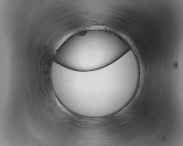 X0000116061193200911201154