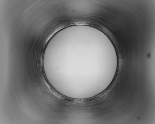 X0000116061194200911201154